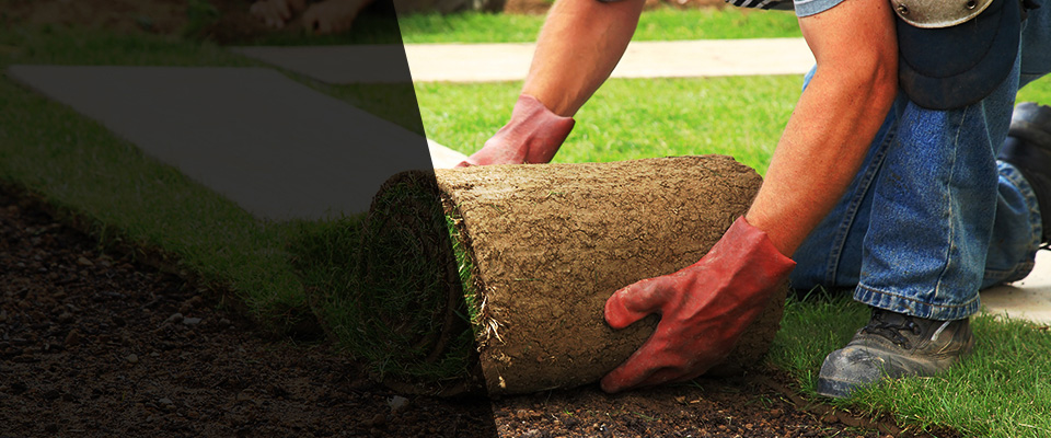 Sound Beach Landscapers